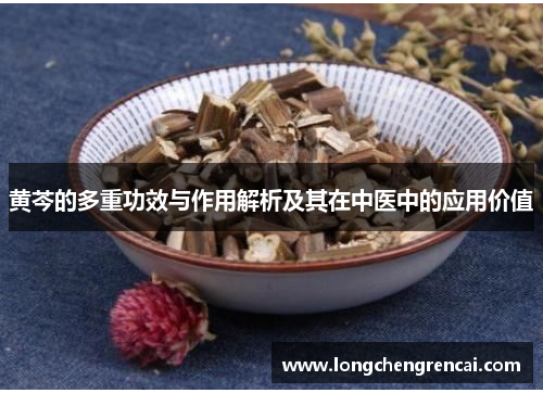 黄芩的多重功效与作用解析及其在中医中的应用价值