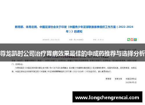 尊龙凯时公司治疗胃病效果最佳的中成药推荐与选择分析
