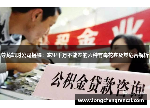 尊龙凯时公司提醒：家里千万不能养的六种有毒花卉及其危害解析
